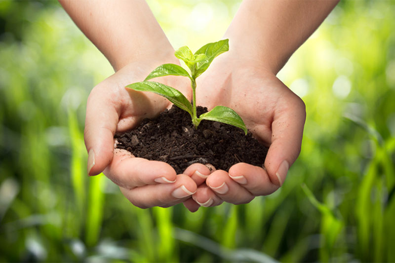 Eco-friendly Company